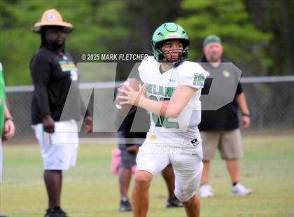 Thumbnail 3 in DeLand (Green/Gold Spring Scrimmage) photogallery.