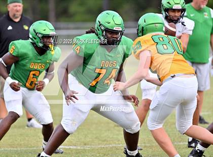 Thumbnail 2 in DeLand (Green/Gold Spring Scrimmage) photogallery.