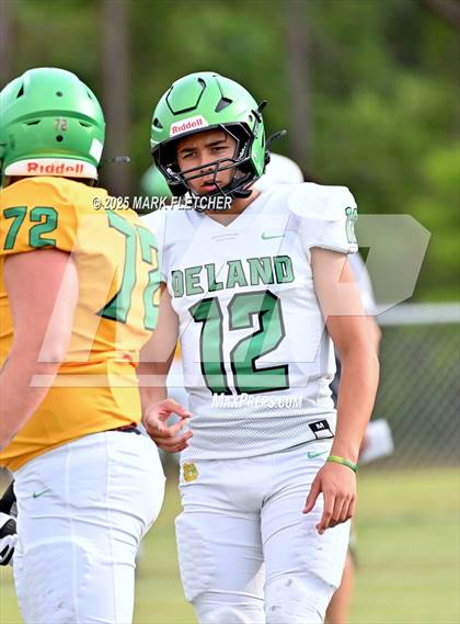 Thumbnail 3 in DeLand (Green/Gold Spring Scrimmage) photogallery.