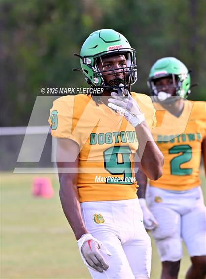 Thumbnail 3 in DeLand (Green/Gold Spring Scrimmage) photogallery.