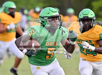 Thumbnail 3 in DeLand (Green/Gold Spring Scrimmage) photogallery.