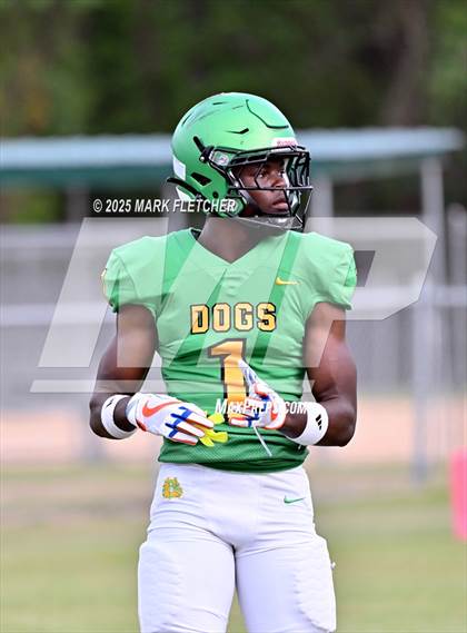 Thumbnail 2 in DeLand (Green/Gold Spring Scrimmage) photogallery.