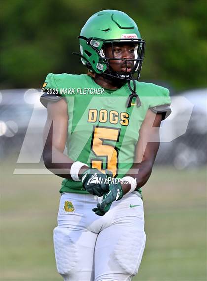 Thumbnail 1 in DeLand (Green/Gold Spring Scrimmage) photogallery.