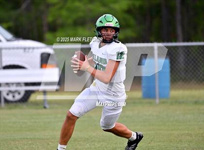 Thumbnail 2 in DeLand (Green/Gold Spring Scrimmage) photogallery.