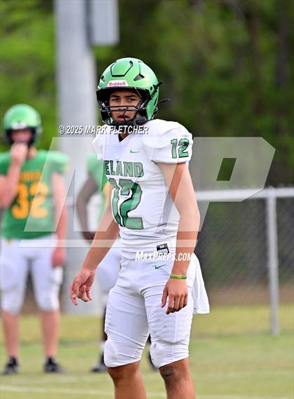 Thumbnail 1 in DeLand (Green/Gold Spring Scrimmage) photogallery.