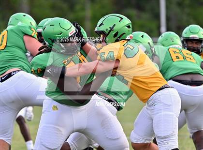 Thumbnail 2 in DeLand (Green/Gold Spring Scrimmage) photogallery.
