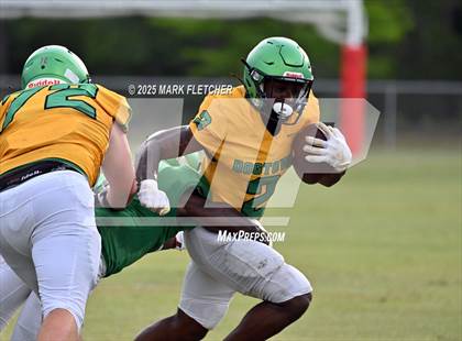 Thumbnail 2 in DeLand (Green/Gold Spring Scrimmage) photogallery.
