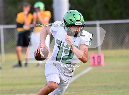 Thumbnail 1 in DeLand (Green/Gold Spring Scrimmage) photogallery.