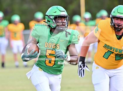 Thumbnail 2 in DeLand (Green/Gold Spring Scrimmage) photogallery.