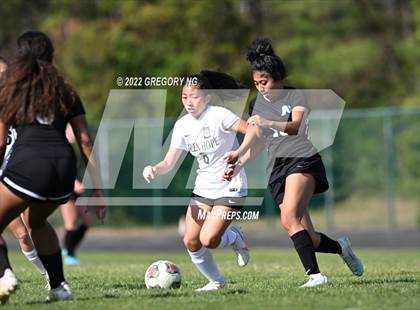 Thumbnail 1 in Green Hope @ Panther Creek photogallery.