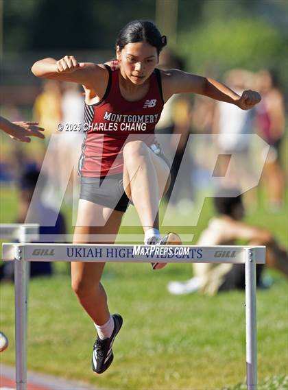 Thumbnail 2 in NBL Championships (100 Hurdles) photogallery.