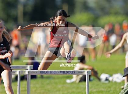 Thumbnail 1 in NBL Championships (100 Hurdles) photogallery.