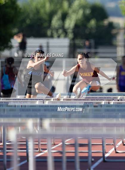 Thumbnail 3 in NBL Championships (100 Hurdles) photogallery.