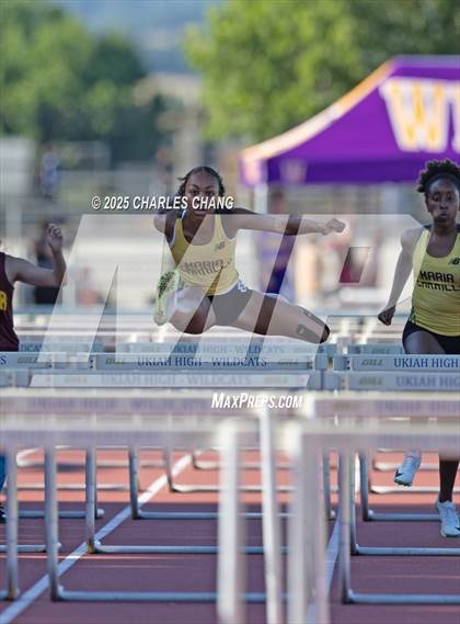 Thumbnail 2 in NBL Championships (100 Hurdles) photogallery.