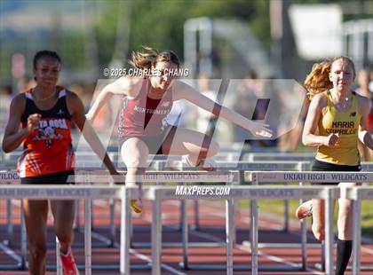 Thumbnail 1 in NBL Championships (100 Hurdles) photogallery.
