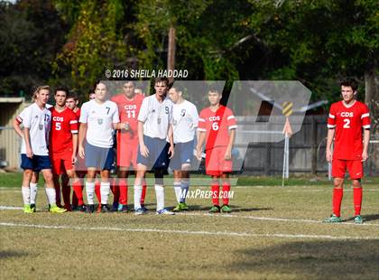 Thumbnail 1 in Carrollwood Day @ Cambridge Christian photogallery.