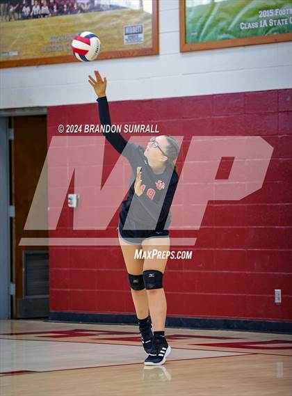 Thumbnail 3 in Thorsby vs Verbena (Chilton County Tournament) photogallery.
