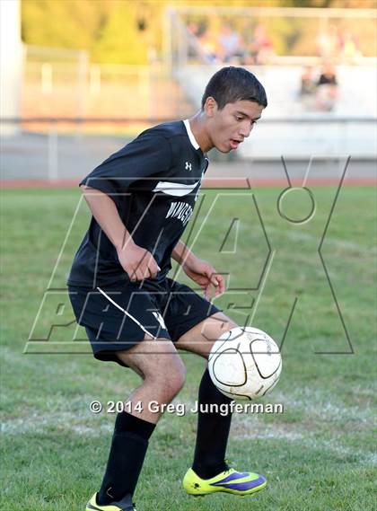 Thumbnail 2 in Windsor @ Cardinal Newman photogallery.