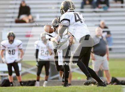 Thumbnail 2 in Shelbyville @ New Palestine photogallery.