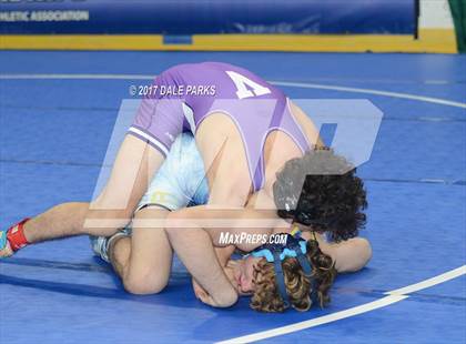 Thumbnail 2 in NYSPHSAA Wrestling Championships (Division 2 Consolation Finals)  photogallery.