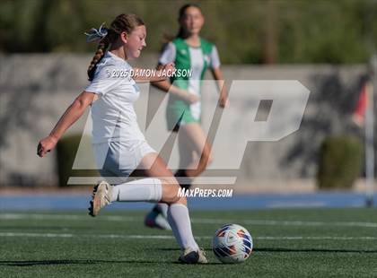 Thumbnail 3 in North Tahoe vs Virgin Valley (3A State Semifinals) photogallery.