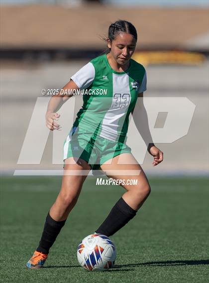 Thumbnail 3 in North Tahoe vs Virgin Valley (3A State Semifinals) photogallery.