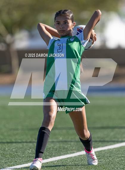 Thumbnail 3 in North Tahoe vs Virgin Valley (3A State Semifinals) photogallery.