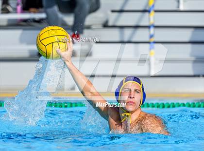 Thumbnail 2 in Palos Verdes @ El Segundo photogallery.