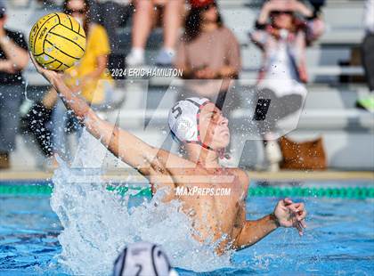 Thumbnail 3 in Palos Verdes @ El Segundo photogallery.