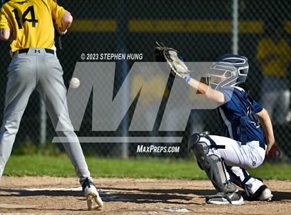 Thumbnail 2 in Metea Valley @ Neuqua Valley photogallery.