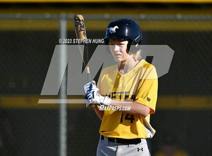 Thumbnail 3 in Metea Valley @ Neuqua Valley photogallery.