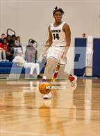 Photo from the gallery "Lennard @ Sumner"