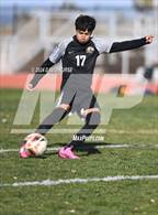 Photo from the gallery "Knight vs. Dunn"