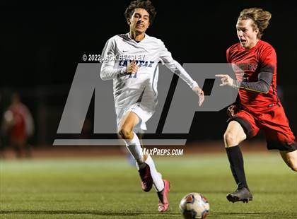 Thumbnail 3 in Fairfax @ Williams Field photogallery.