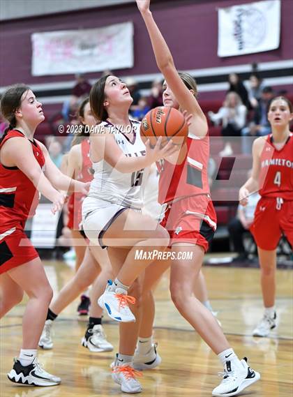 Thumbnail 3 in Hamilton @ Millsap photogallery.