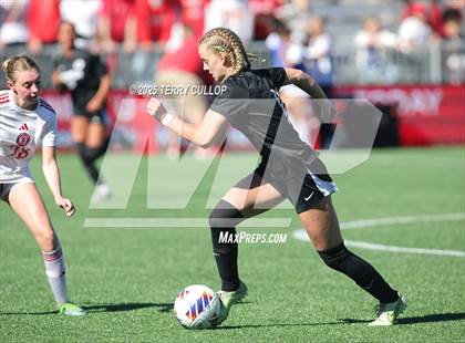 Thumbnail 2 in Spanish Fork vs. Olympus (UHSAA 5A Semi Final) photogallery.