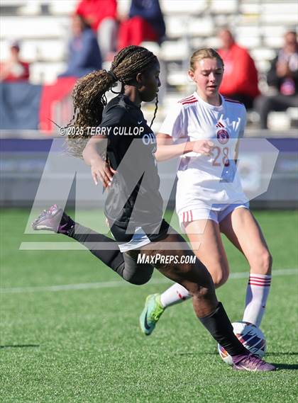 Thumbnail 1 in Spanish Fork vs. Olympus (UHSAA 5A Semi Final) photogallery.