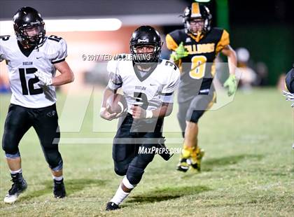 Thumbnail 1 in Bigelow @ Quitman photogallery.