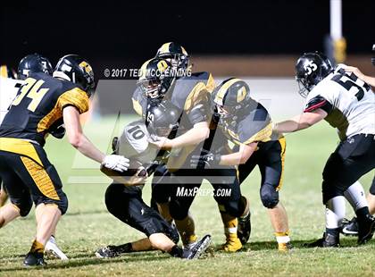 Thumbnail 2 in Bigelow @ Quitman photogallery.