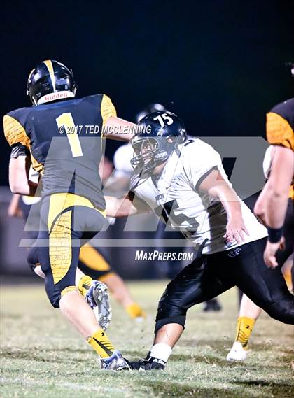 Thumbnail 3 in Bigelow @ Quitman photogallery.