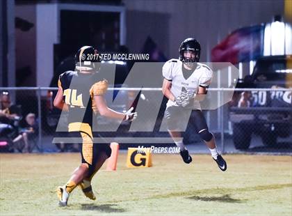 Thumbnail 2 in Bigelow @ Quitman photogallery.