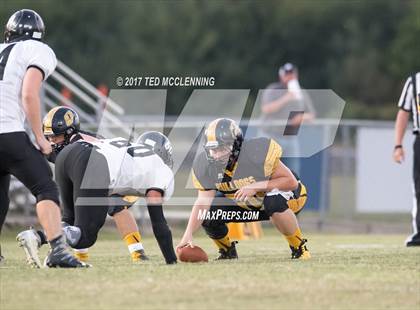 Thumbnail 3 in Bigelow @ Quitman photogallery.