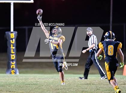 Thumbnail 2 in Bigelow @ Quitman photogallery.