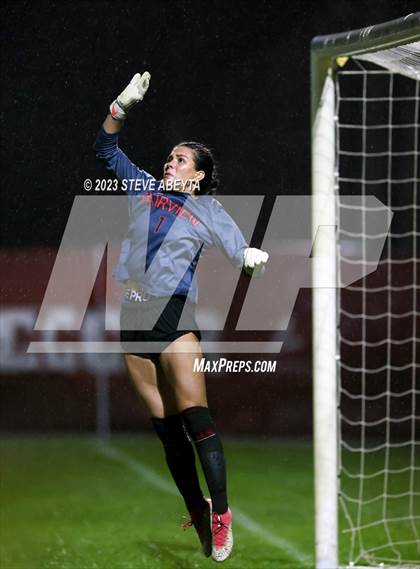 Thumbnail 2 in ThunderRidge vs. Fairview (CHSAA 5A Semi-Final) photogallery.