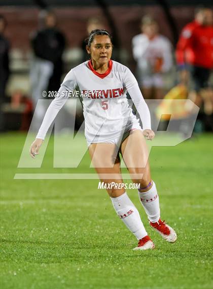 Thumbnail 2 in ThunderRidge vs. Fairview (CHSAA 5A Semi-Final) photogallery.