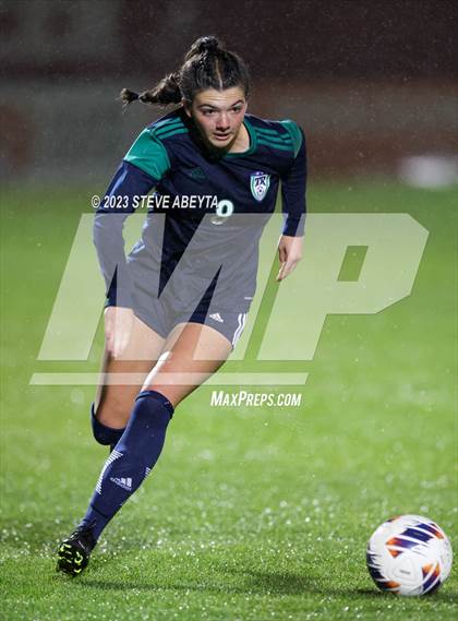 Thumbnail 3 in ThunderRidge vs. Fairview (CHSAA 5A Semi-Final) photogallery.