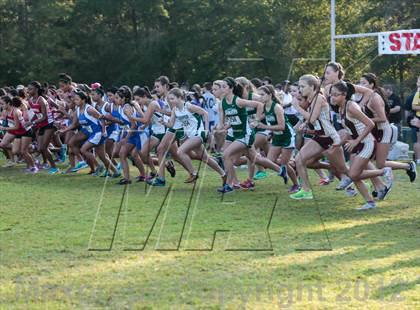 Thumbnail 2 in Andy Wells Invitational  photogallery.