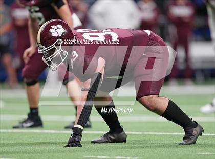 Thumbnail 1 in Harlingen vs Dripping Springs (UIL 6A Division II Regional Semifinals) photogallery.