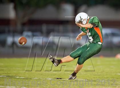 Thumbnail 1 in Dixie Hollins @ Seminole photogallery.