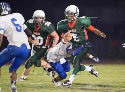 Thumbnail 2 in Dixie Hollins @ Seminole photogallery.